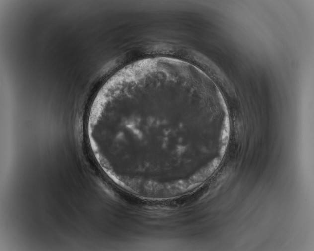 X0000087320729200705112136