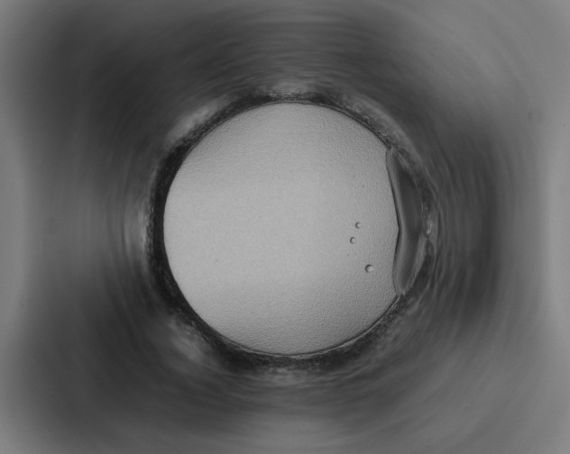 X0000087320732200705112136