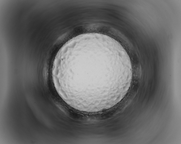 X0000087320733200705112136