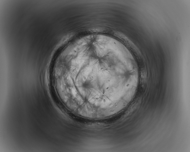 X0000087320734200705112136