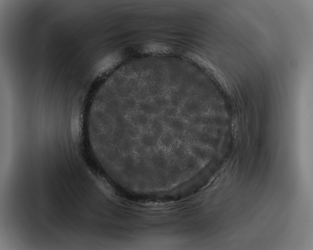 X0000087320735200705112136