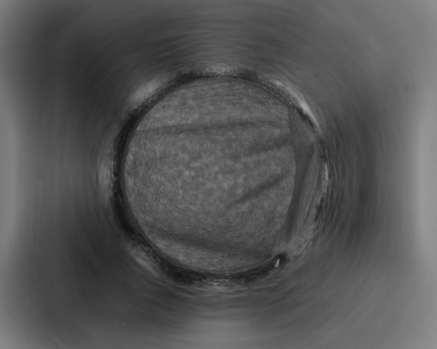 X0000087320736200705112136