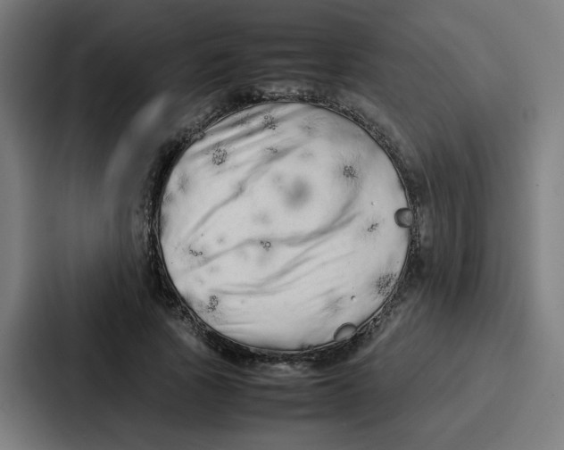 X0000087320737200705112136