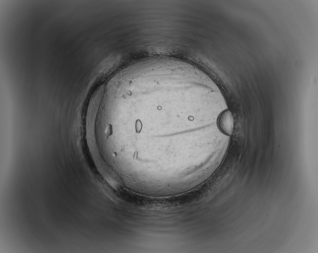 X0000087320738200705112136