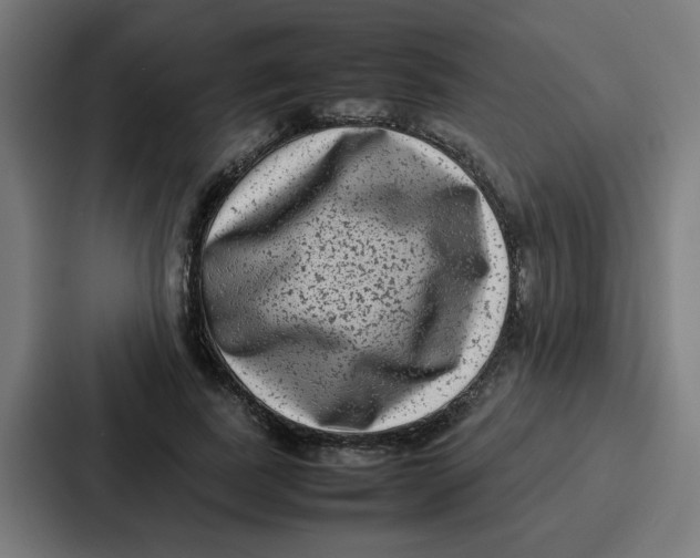 X0000087320739200705112136