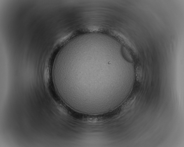 X0000087320740200705112136