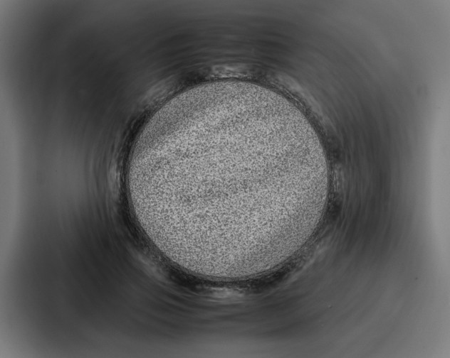 X0000087320741200705112136