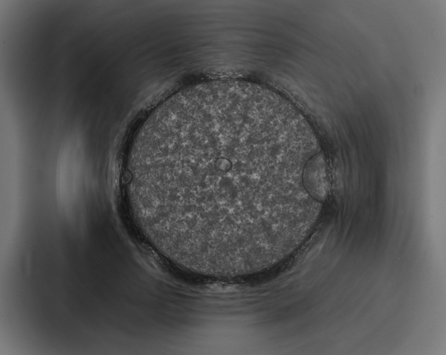 X0000087320742200705112136