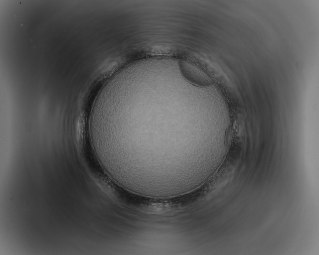 X0000087320744200705112136