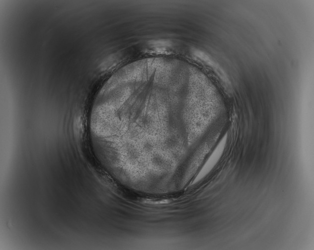 X0000087320747200705112136