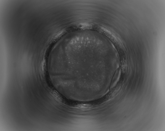 X0000087320748200705112136