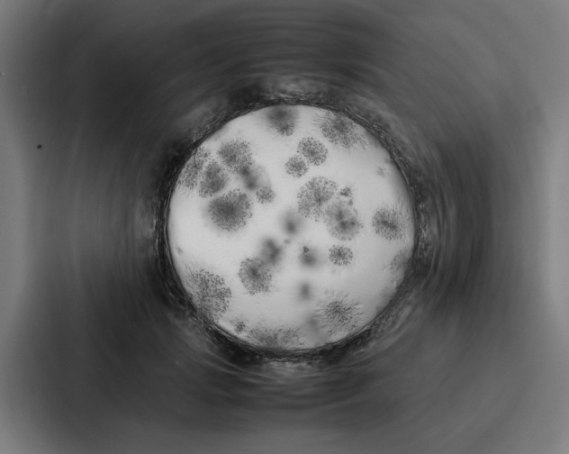 X0000087320749200705112137