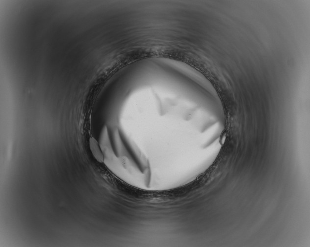 X0000087320750200705112137