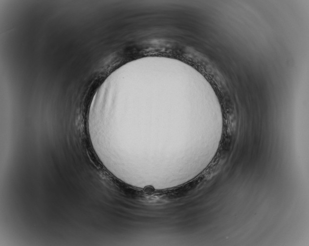 X0000087320753200705112137