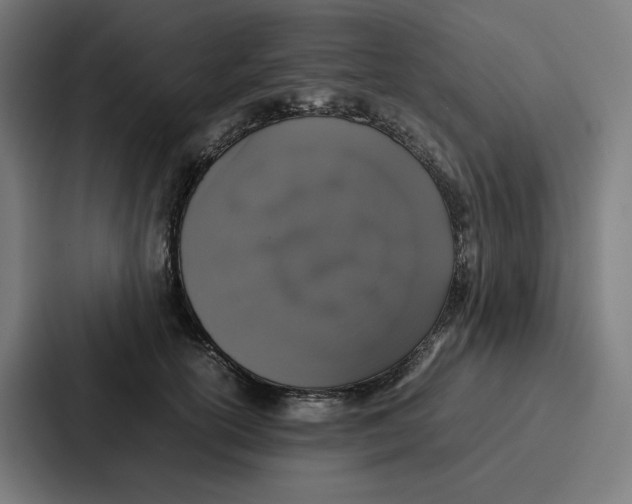 X0000087320754200705112137