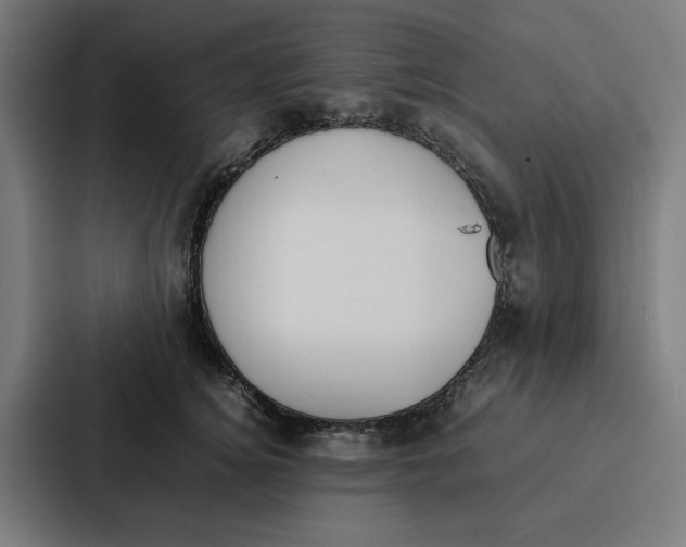 X0000087320756200705112137