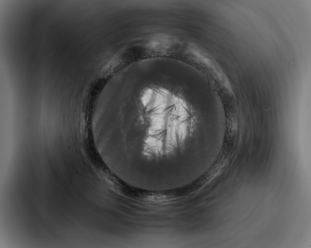 X0000087320759200705112137