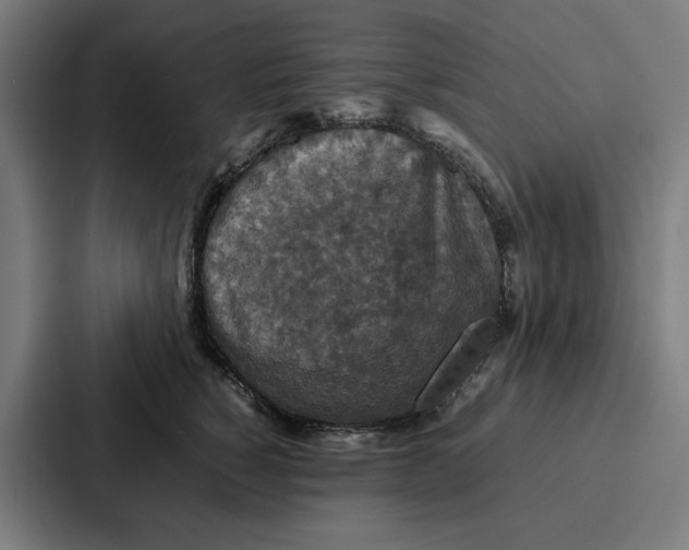 X0000087320760200705112137