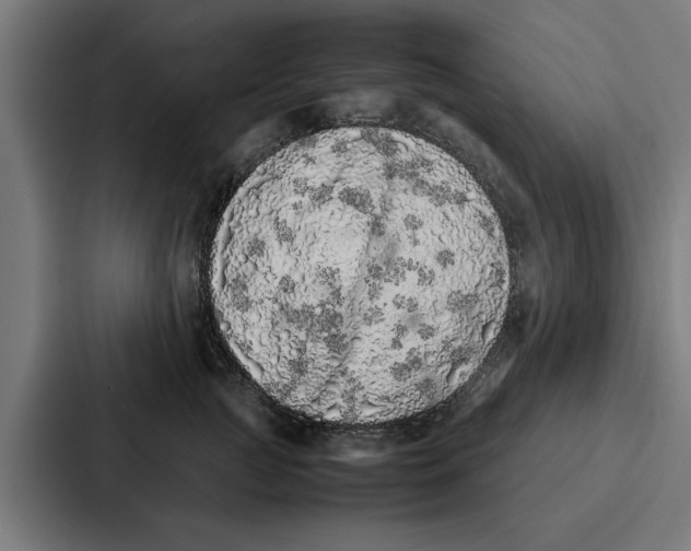 X0000087320761200705112137