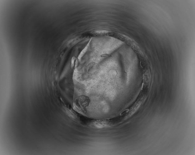 X0000087320762200705112137