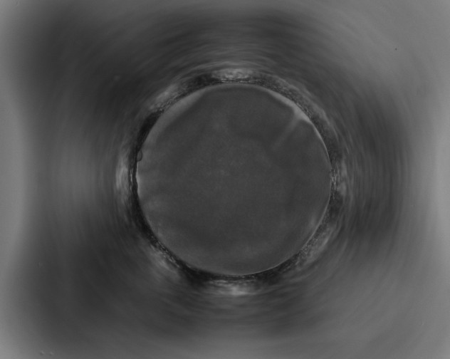 X0000087320763200705112137