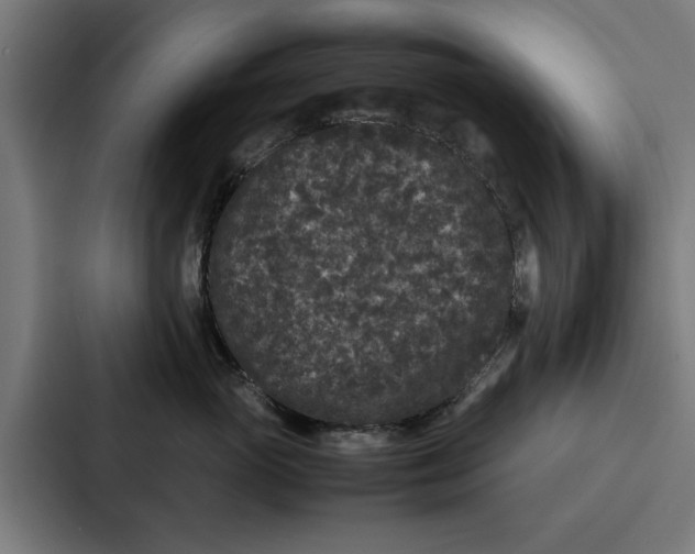 X0000087320765200705112137