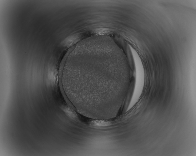 X0000087320766200705112137