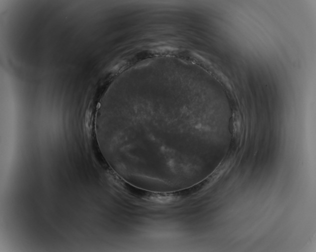 X0000087320767200705112137