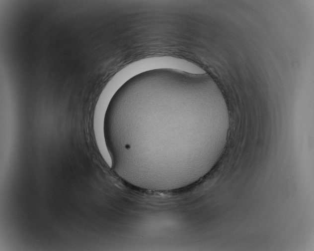 X0000087320768200705112137