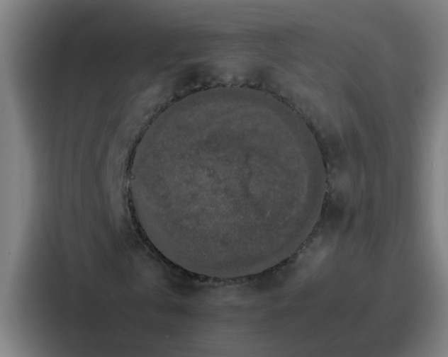 X0000087320769200705112136