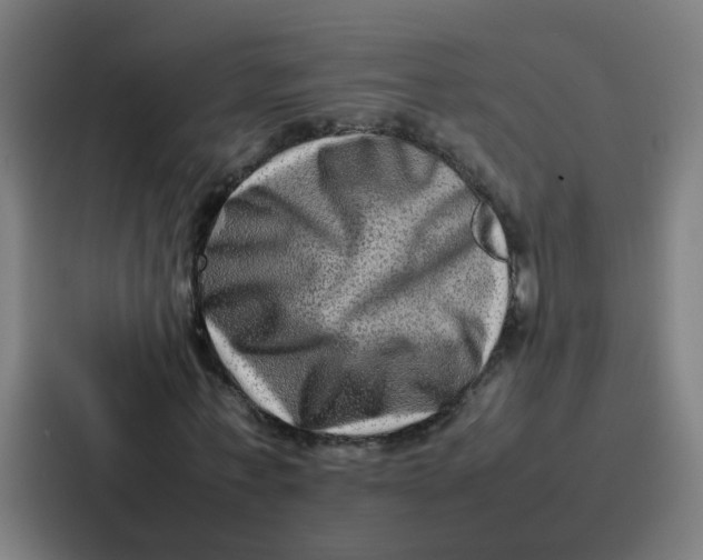 X0000087320771200705112136