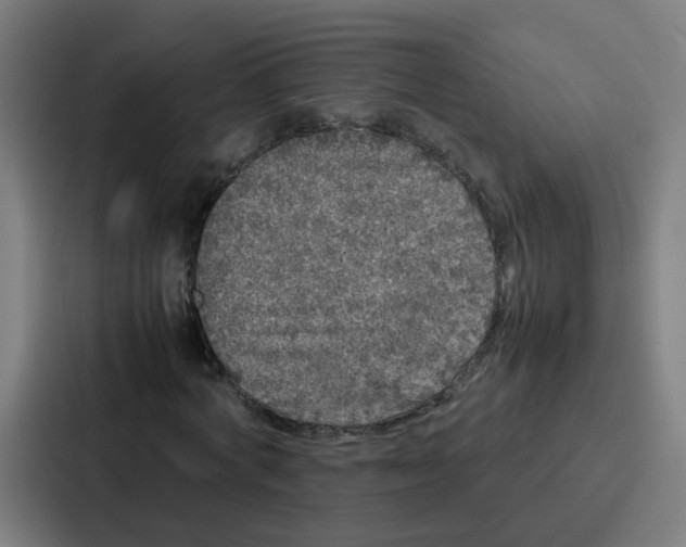 X0000087320772200705112136