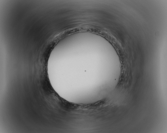 X0000087320773200705112136