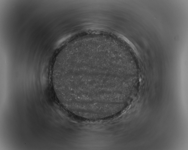 X0000087320775200705112136