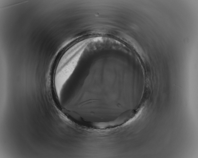 X0000087320779200705112136