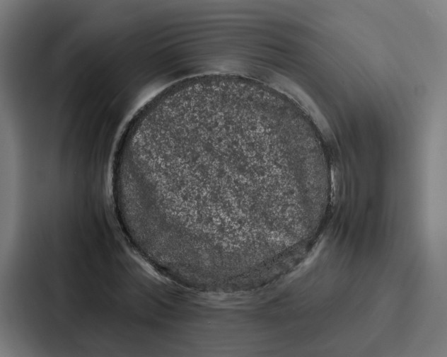 X0000087320780200705112136