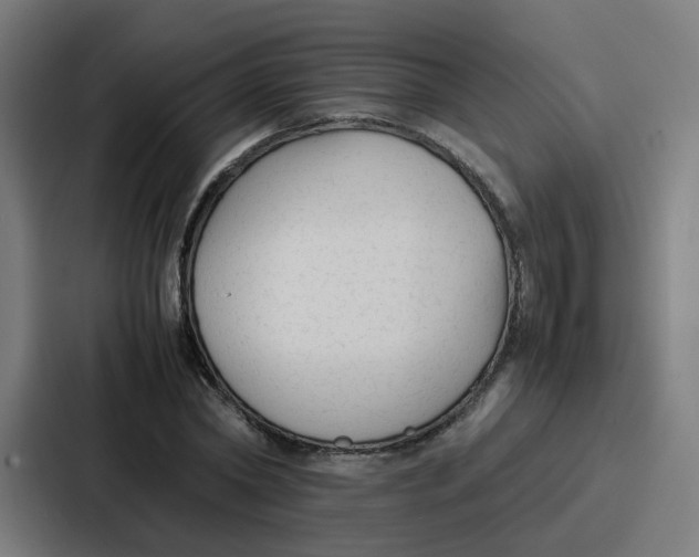 X0000087320782200705112136