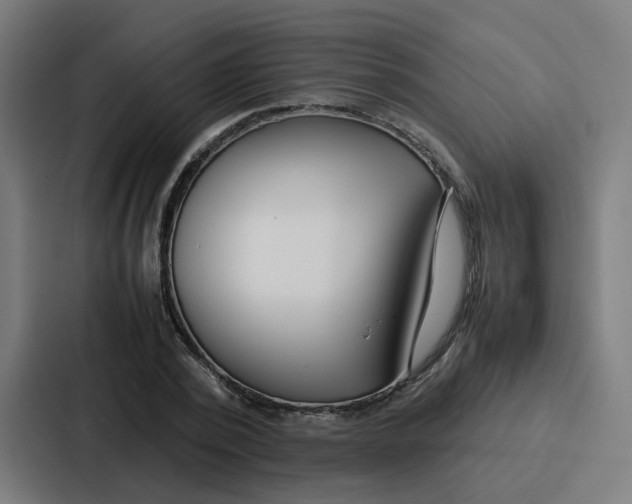 X0000087320784200705112136