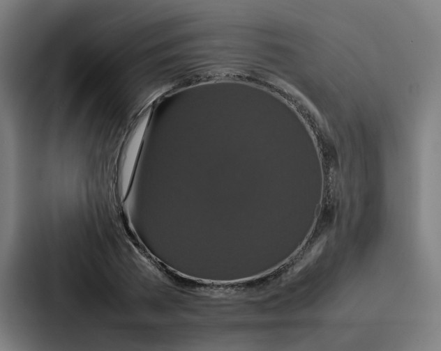 X0000087320785200705112136