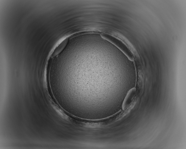 X0000087320788200705112136