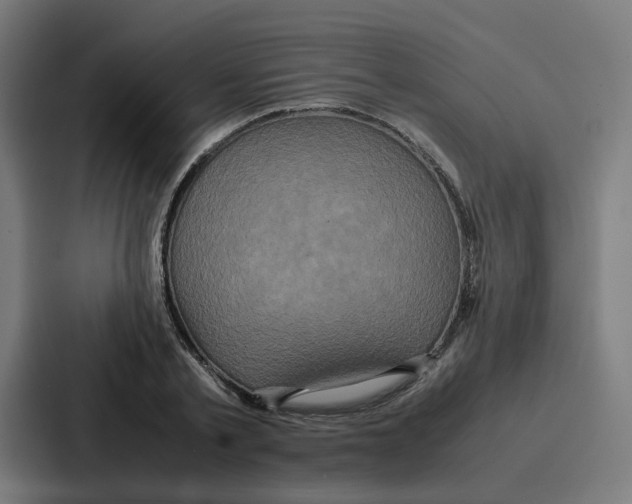 X0000087320789200705112136