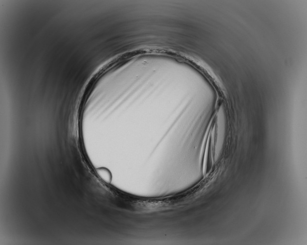 X0000087320791200705112136