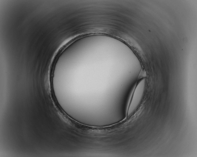 X0000087320792200705112136