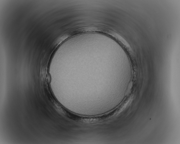 X0000087320793200705112136