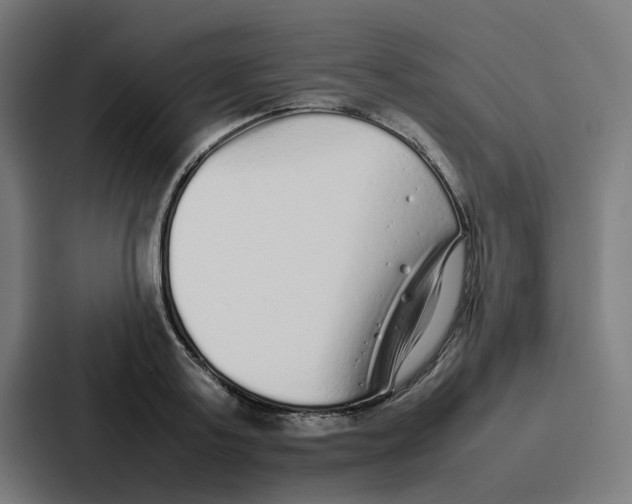 X0000087320795200705112136