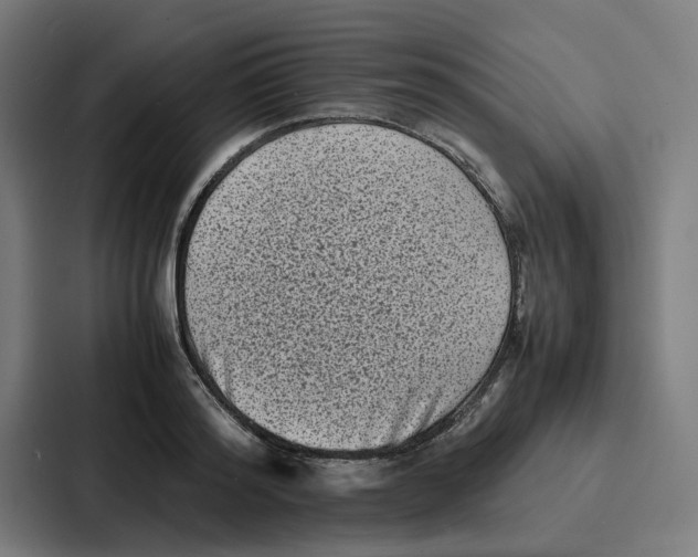 X0000087320796200705112136