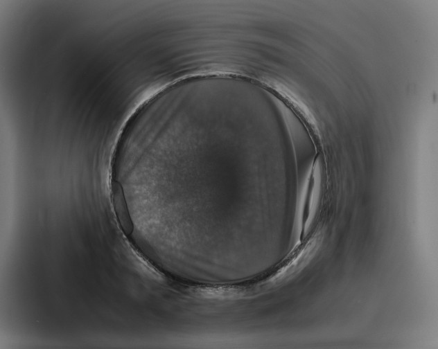 X0000087320797200705112136