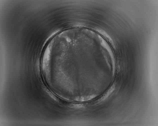 X0000087320798200705112136