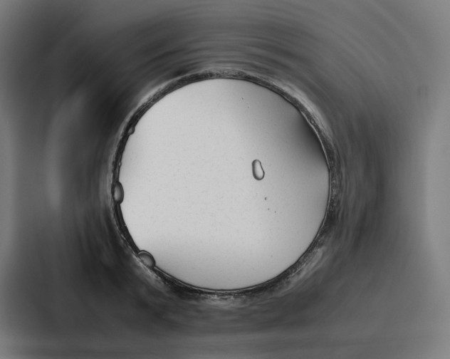 X0000087320799200705112136