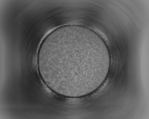 X0000087320800200705112136